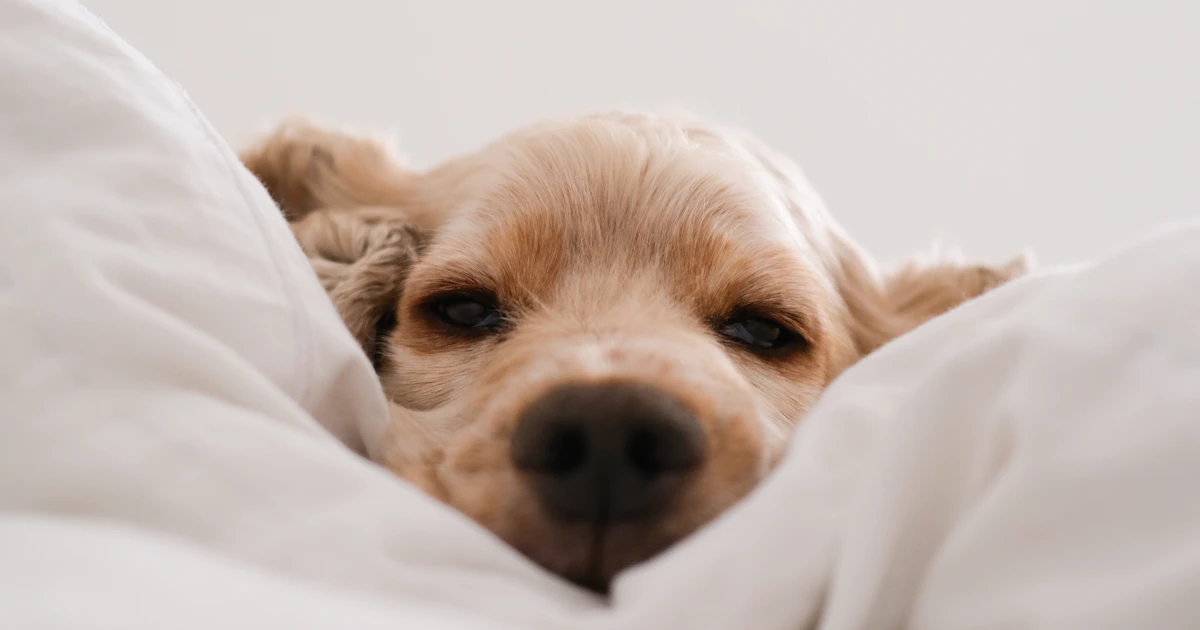 The Complete Guide to Contact Lens Care